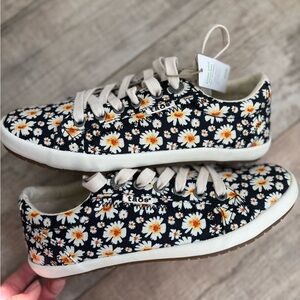 Taos Star Sneaker 6.5 Black Daisy Patterned Shoes